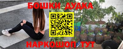 jwh Партизанск