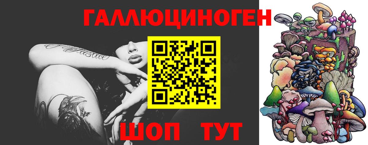 купить  цена  Вход с VPN  Таганрог  Псилоцибиновые грибы GOLDEN TEACHER 