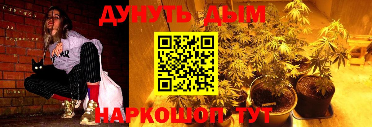 Бошки марихуана индика  МАРИХУАНА план  Вход с VPN  Таганрог  Конопля White Widow 